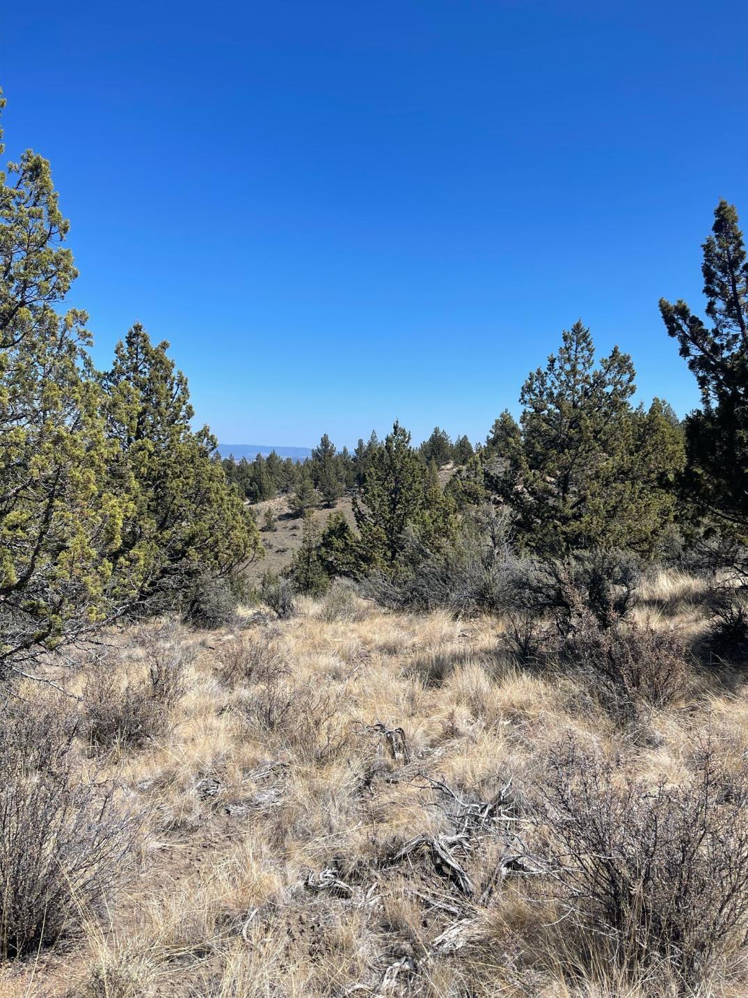 Riverside Ranch - Land