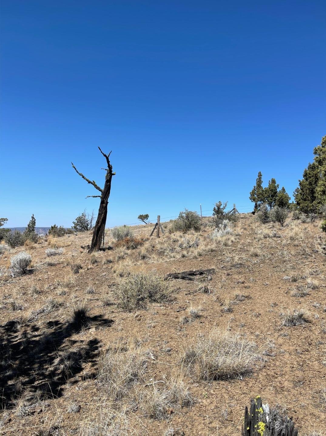 Riverside Ranch - Land