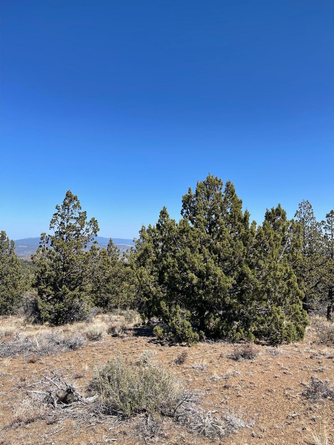 Riverside Ranch - Land