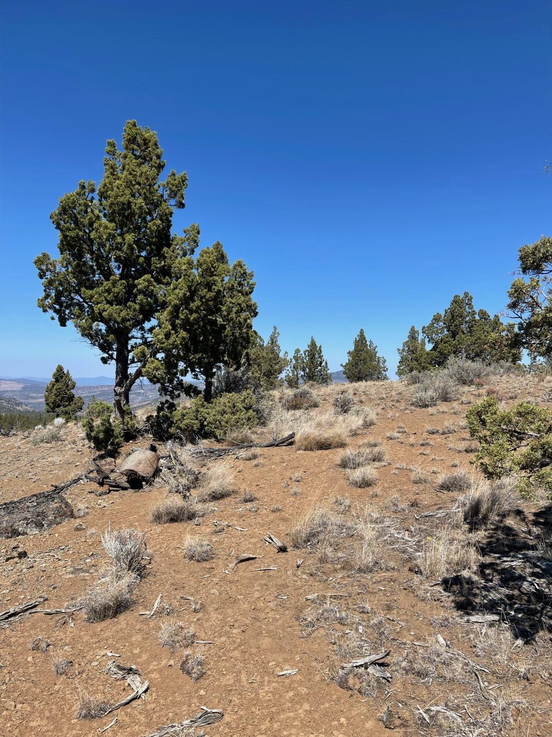 Riverside Ranch - Land