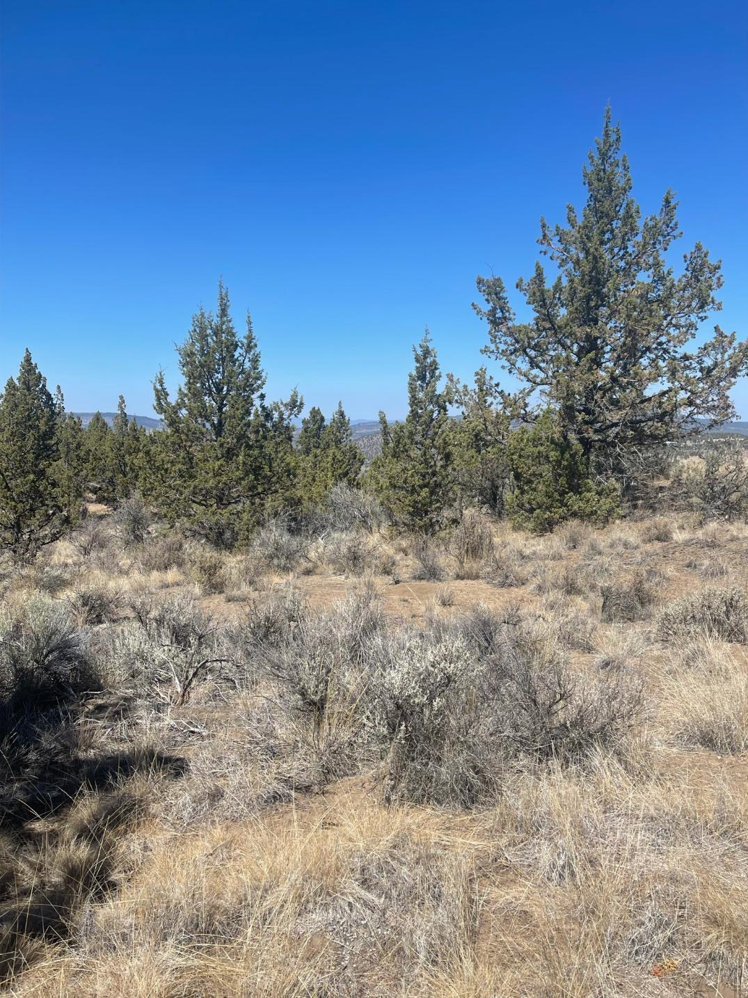 Riverside Ranch - Land