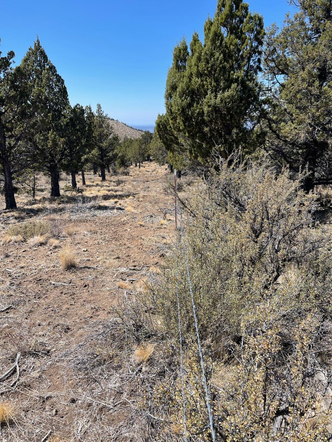 Riverside Ranch - Land