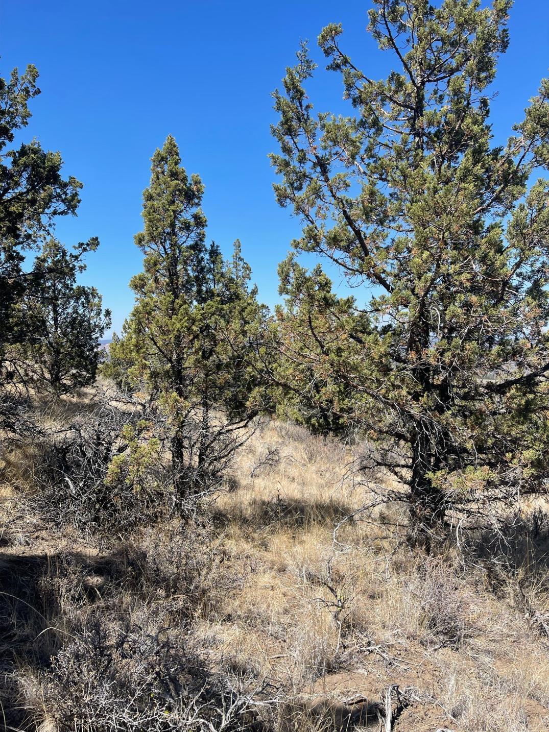 Riverside Ranch - Land