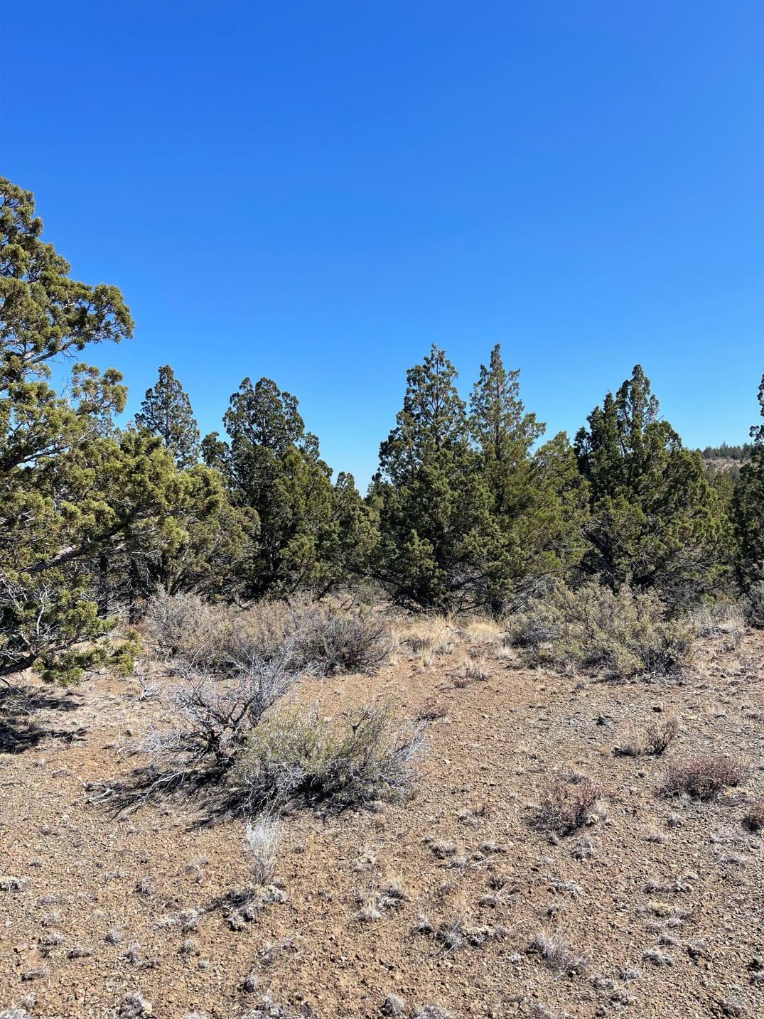 Riverside Ranch - Land