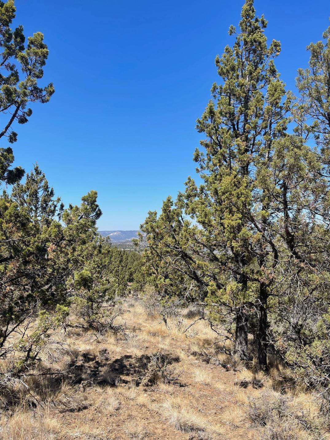 Riverside Ranch - Land