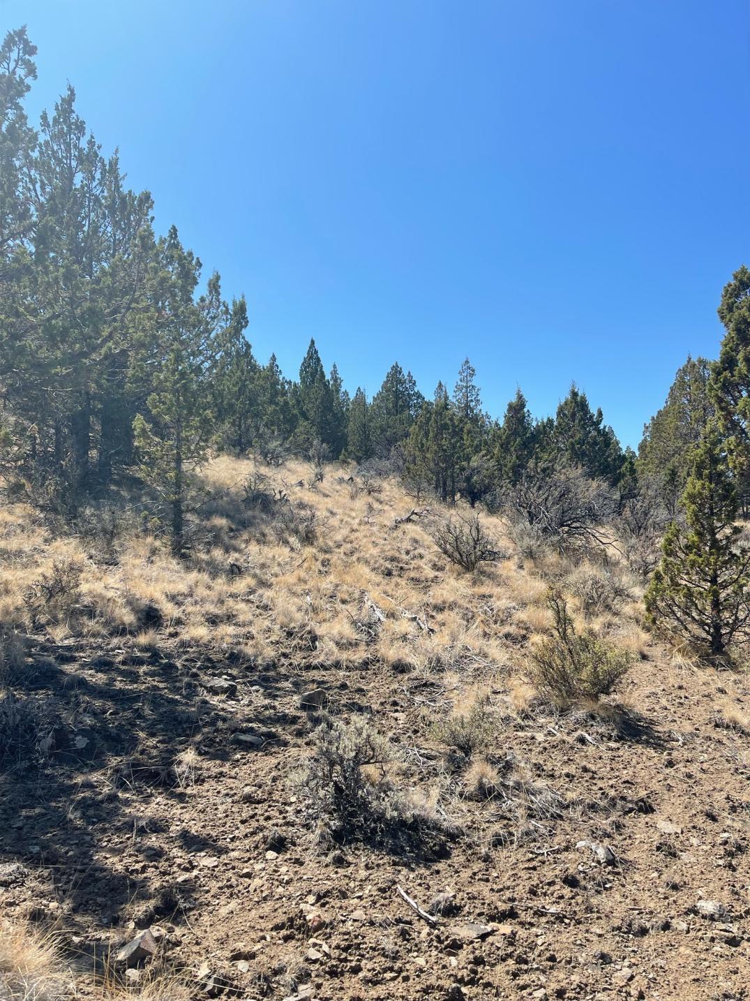 Riverside Ranch - Land