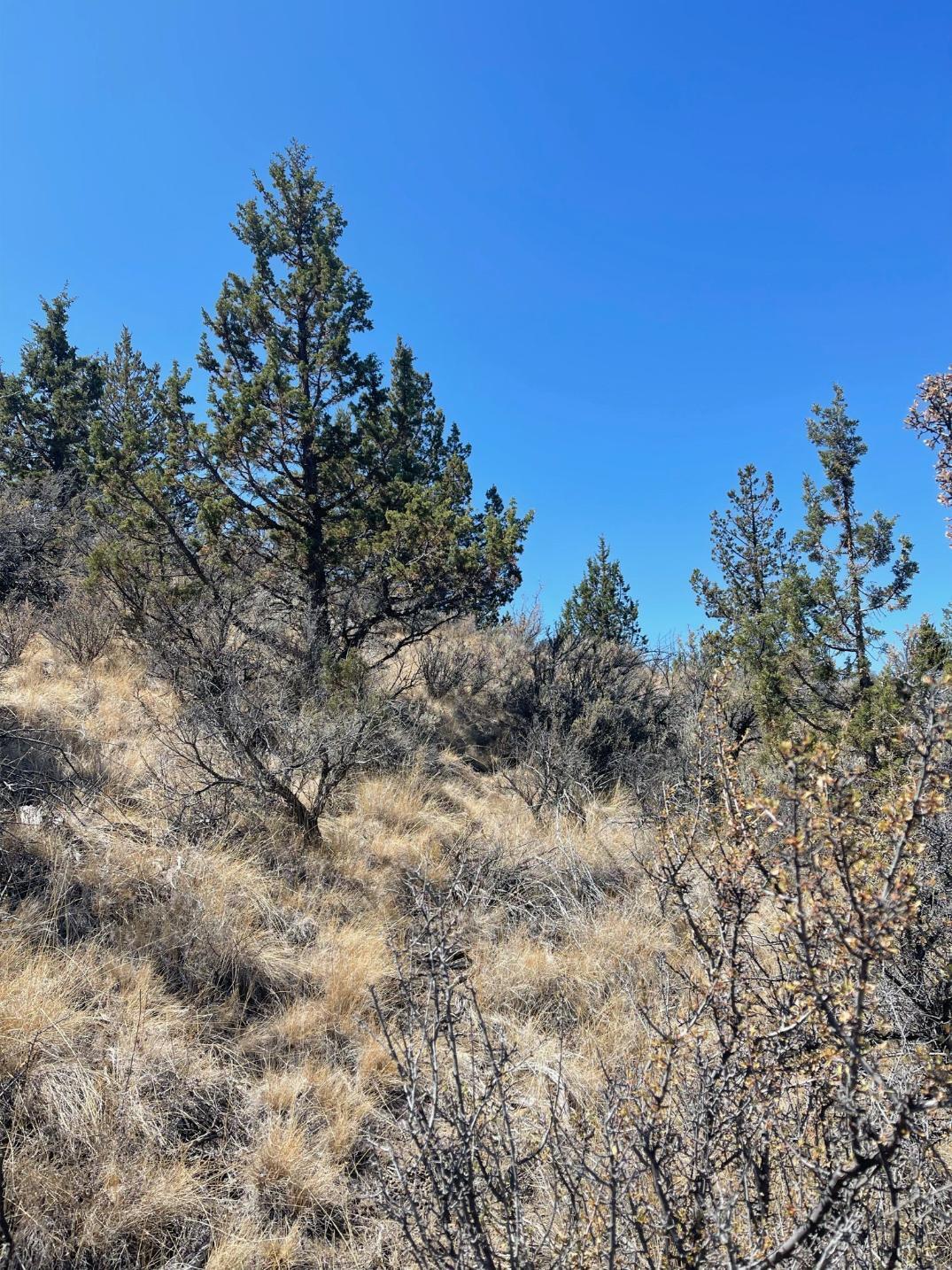 Riverside Ranch - Land