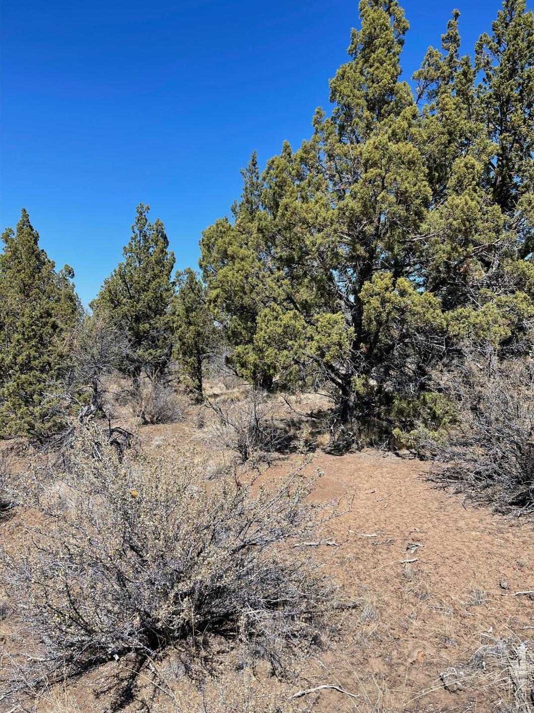 Riverside Ranch - Land