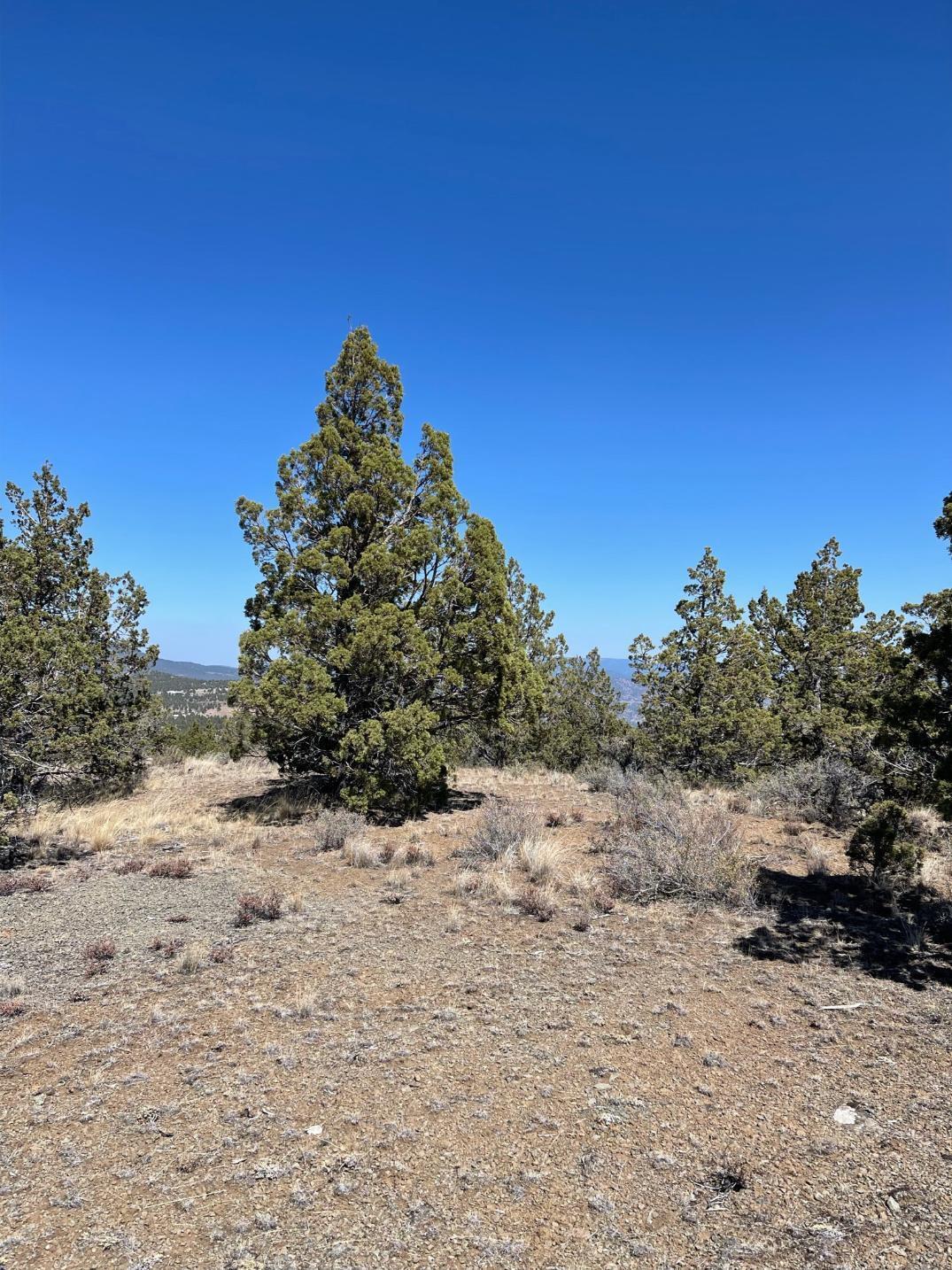 Riverside Ranch - Land