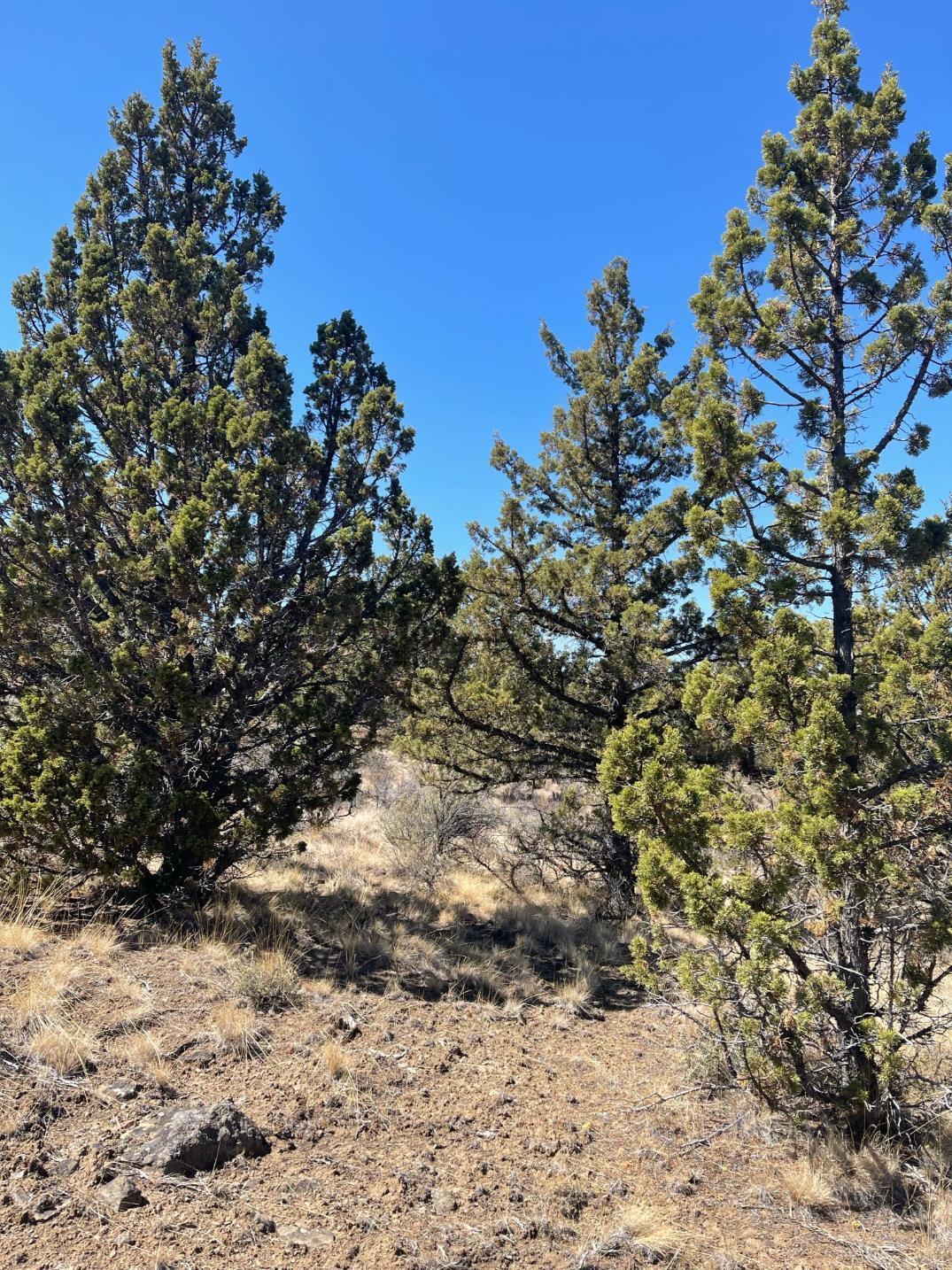 Riverside Ranch - Land