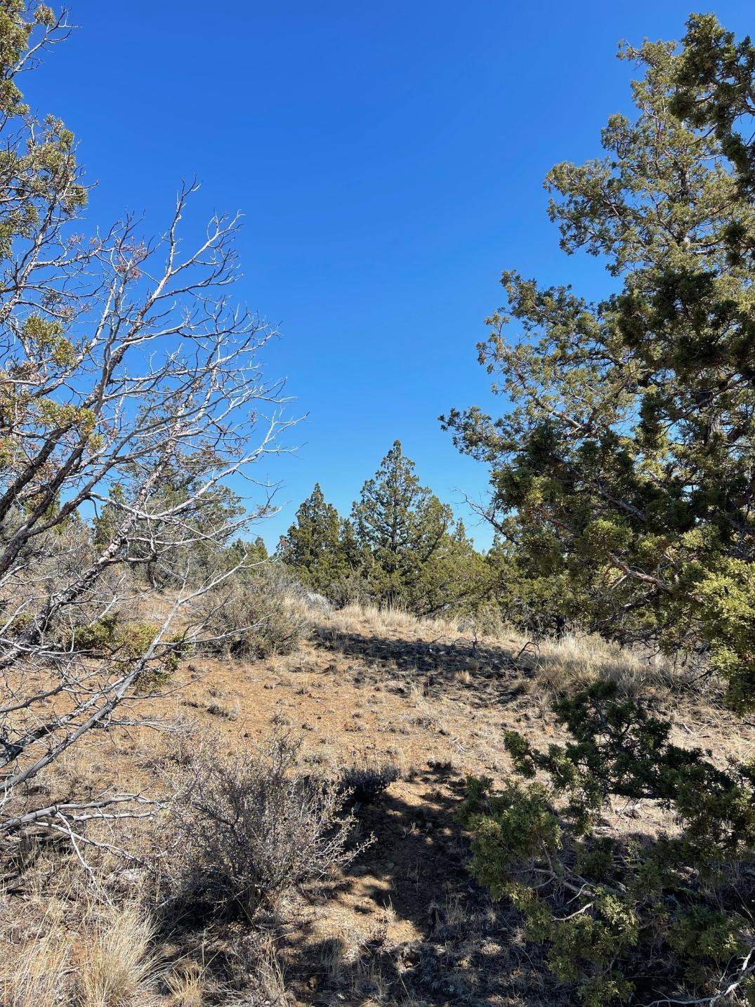 Riverside Ranch - Land