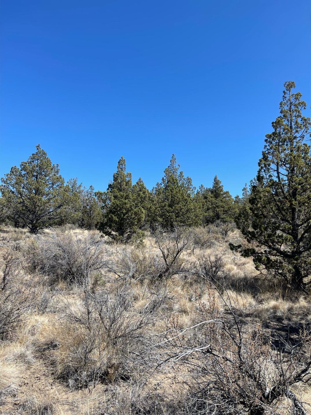 Riverside Ranch - Land