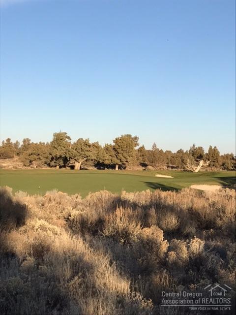 Pronghorn - Land
