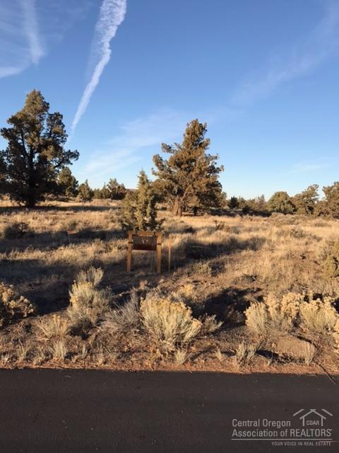 Pronghorn - Land