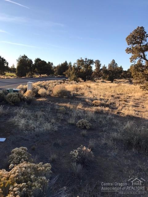 Pronghorn - Land