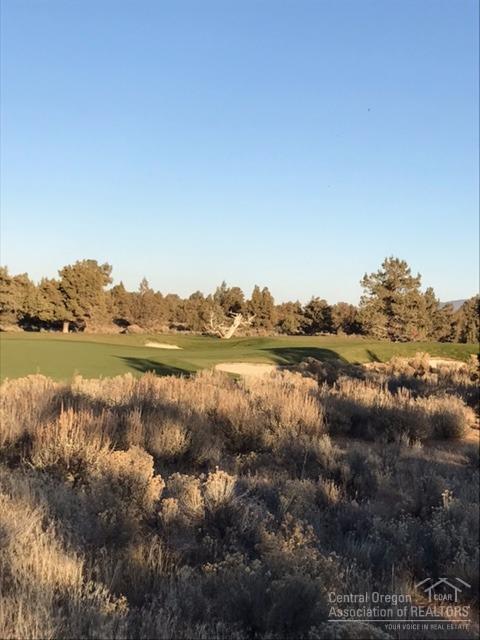 Pronghorn - Land