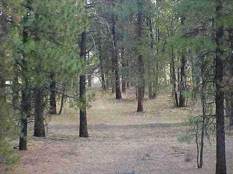 L-341 Paved Road To Sundivision, Power Available, Approx. 12 Miles To Bly Or 60 Miles To Klamath Falls. Very Private With Year'round Access.