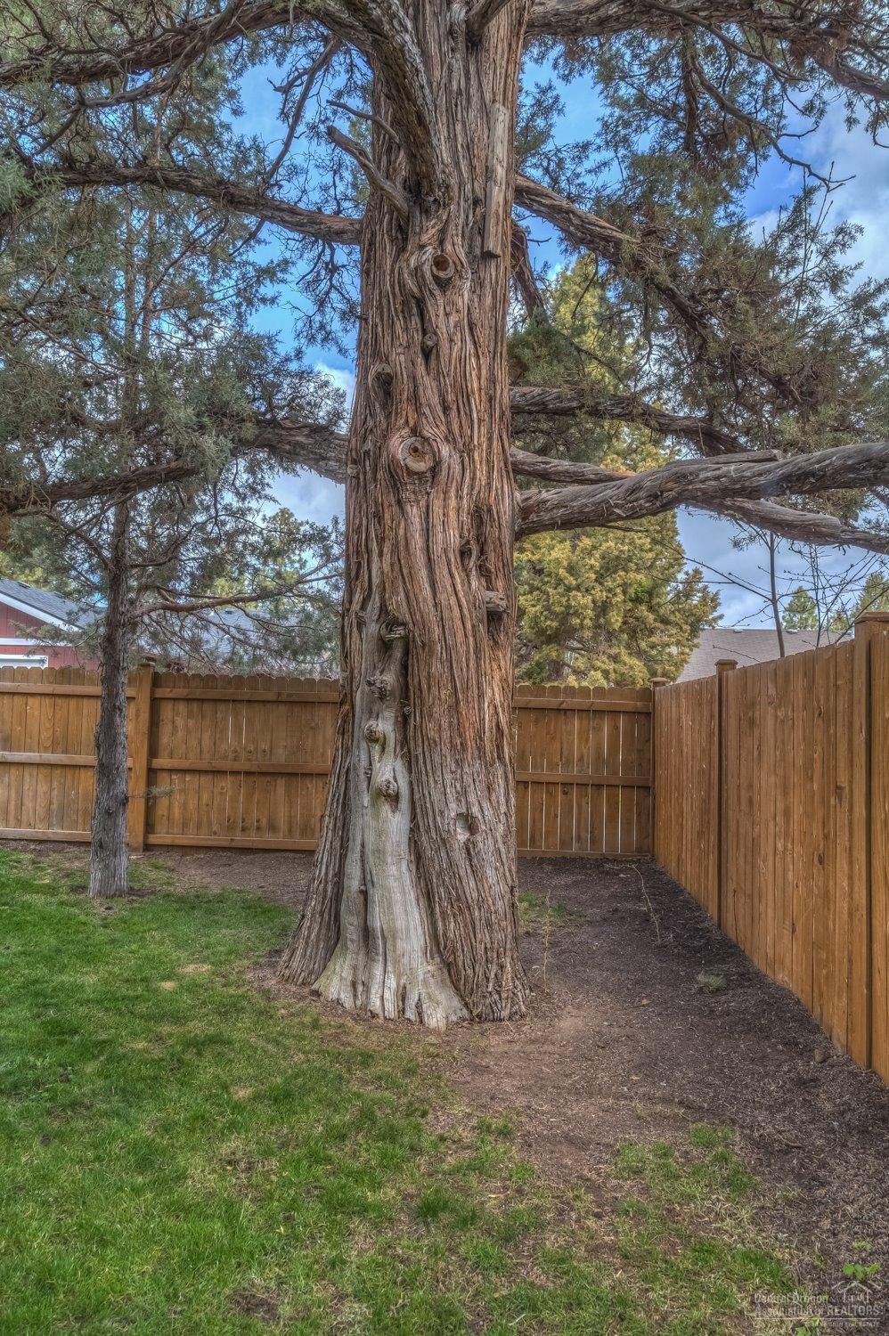 Larkspur - Residential