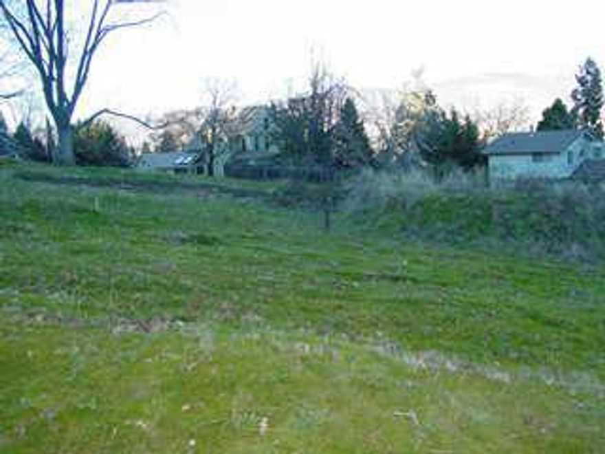 Mount Ashland view from this rare lot. Build your dream home in this neighborhood of historic gems. Only a stones throw away from Lithia Park and the Plaza. Flag lot with paved alley access.