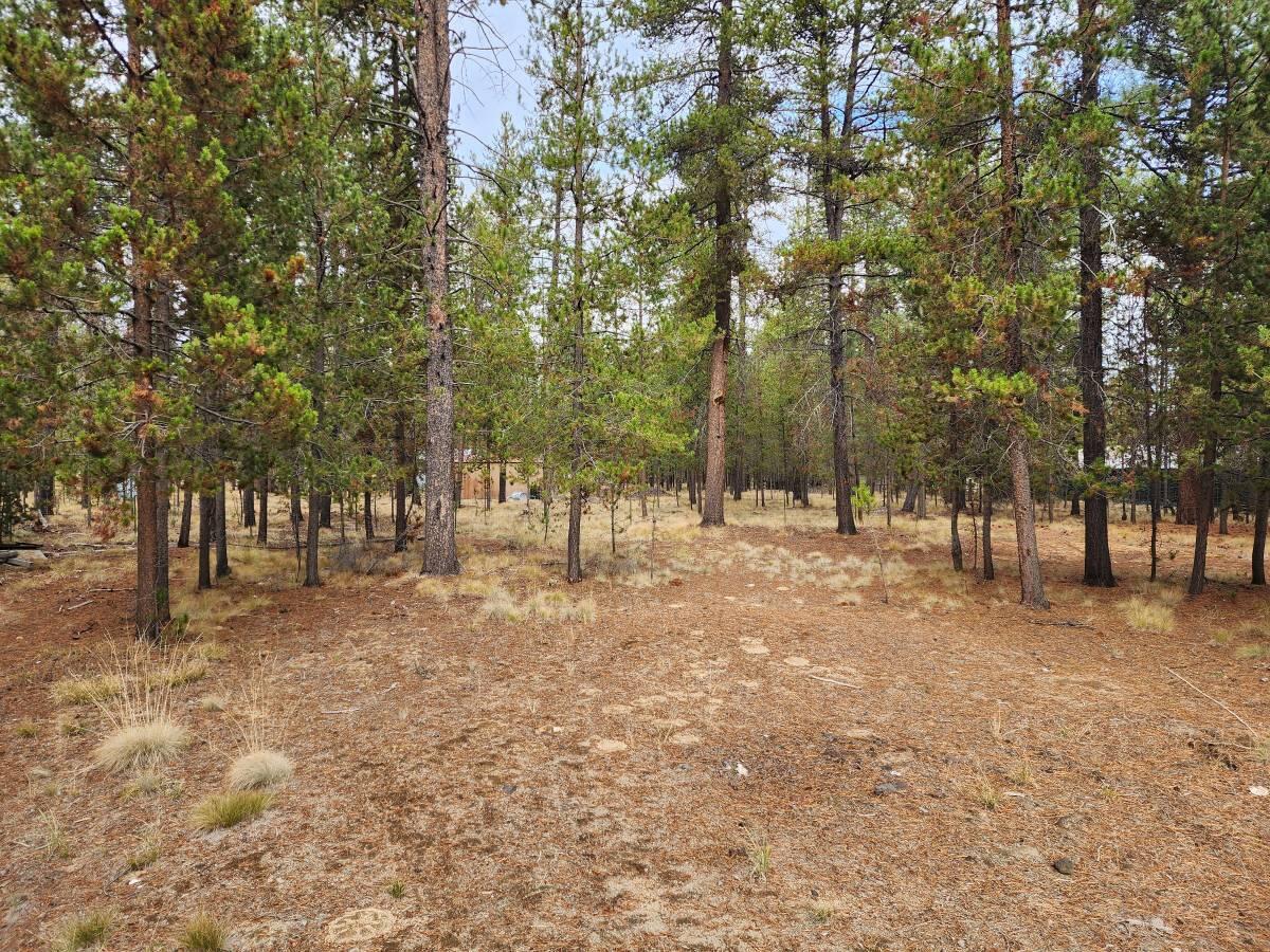 Jacobsen Addition - Residential