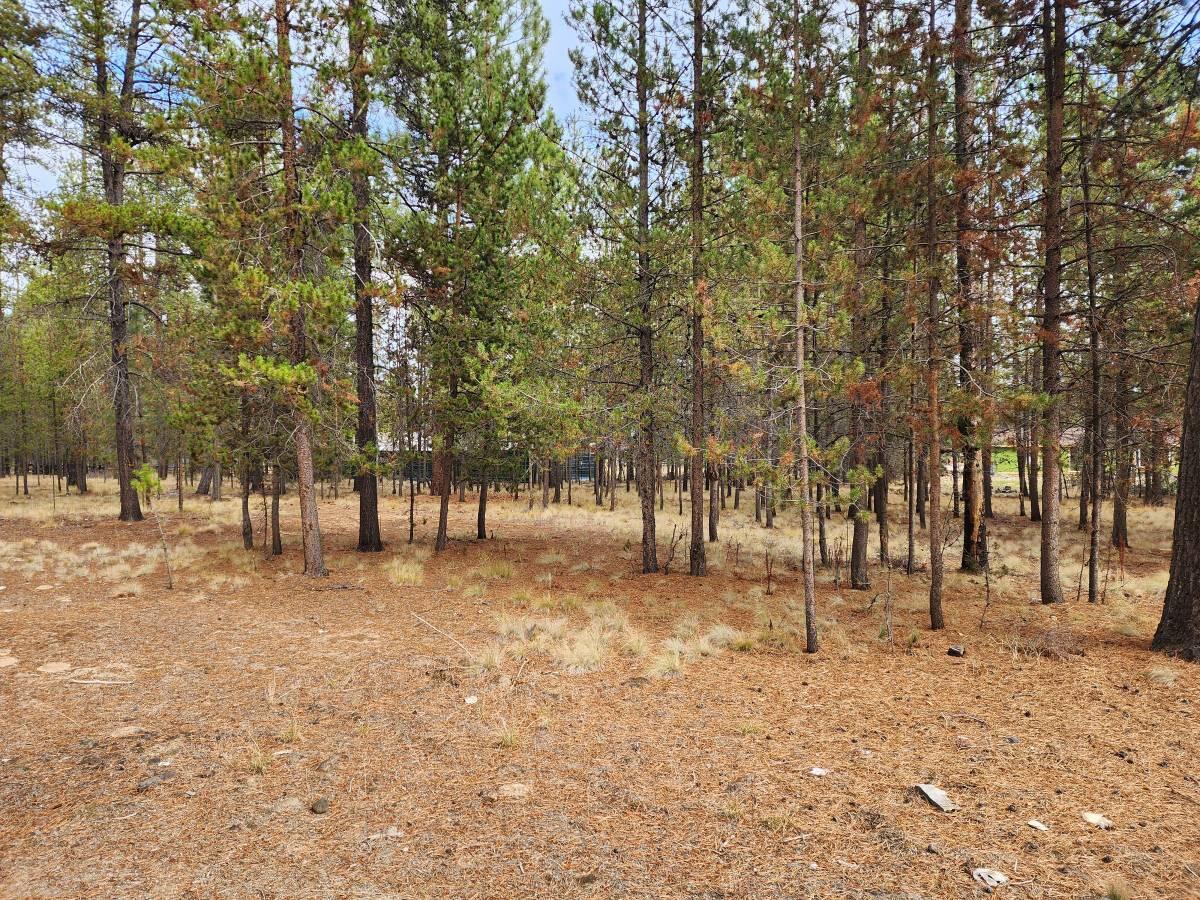 Jacobsen Addition - Residential