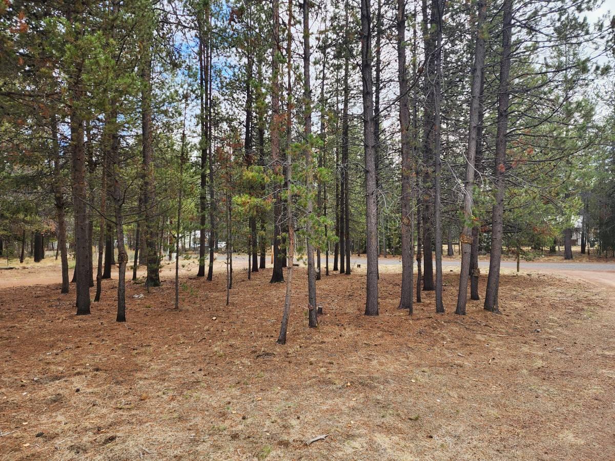 Jacobsen Addition - Residential