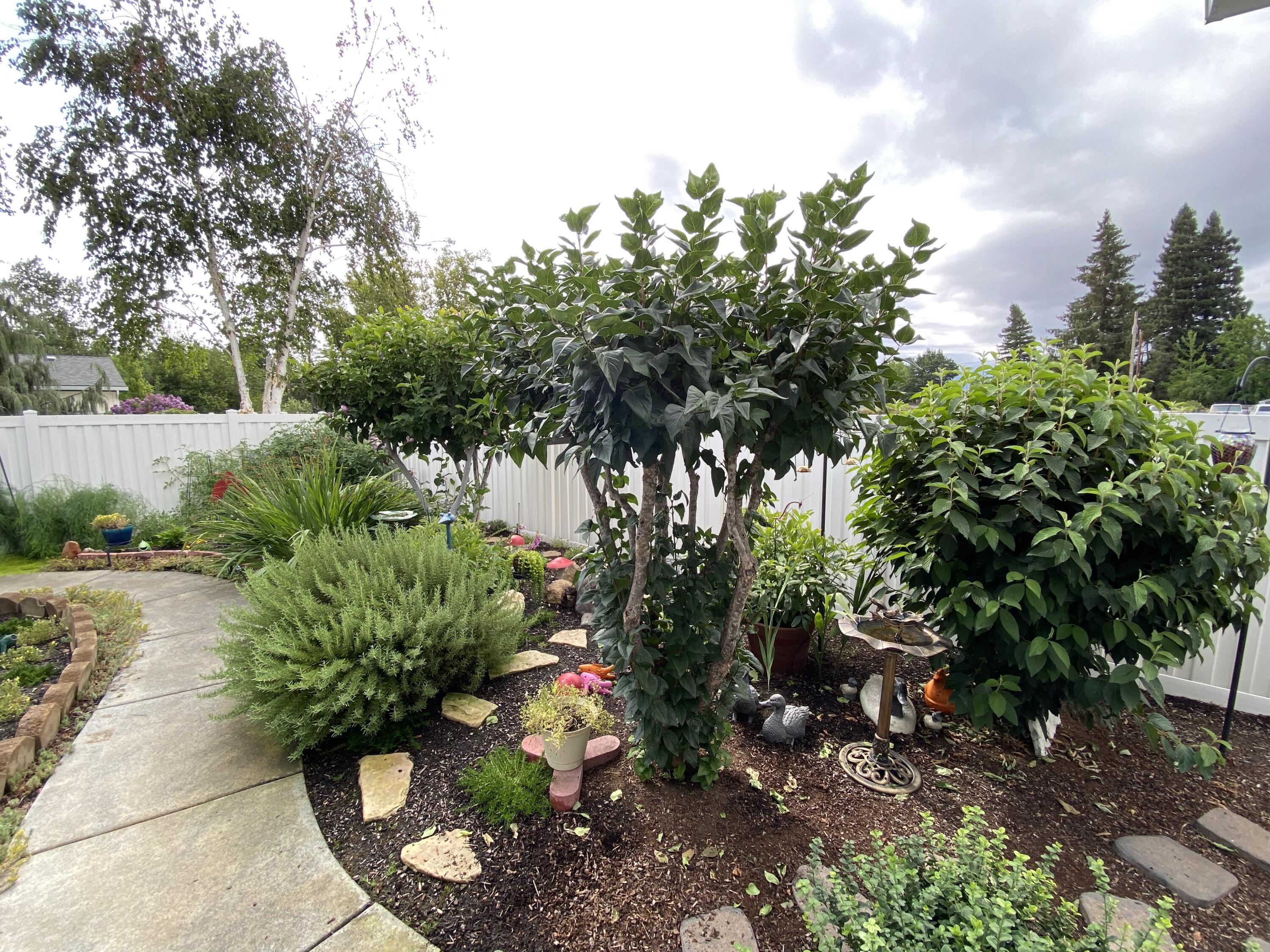 Miller Estates Subdivision Phase 2 - Residential