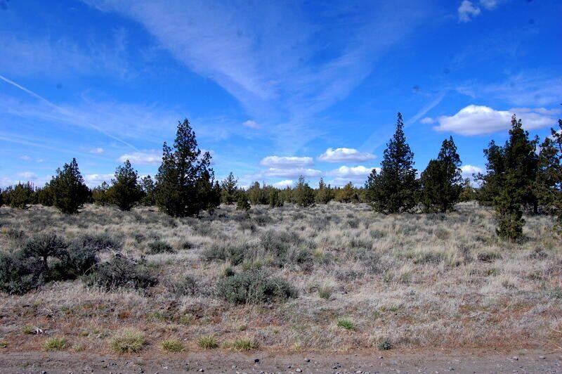 Ochoco Land + Livest - Land