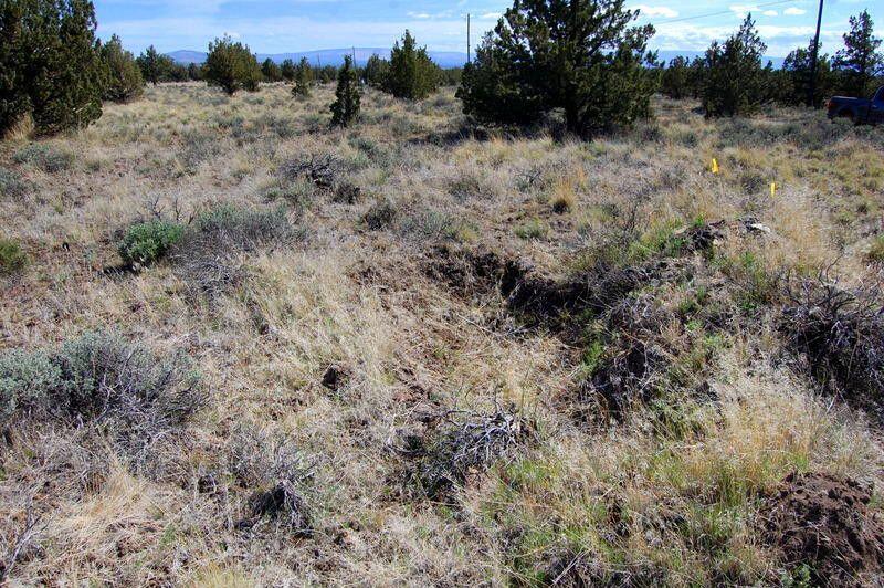 Ochoco Land + Livest - Land