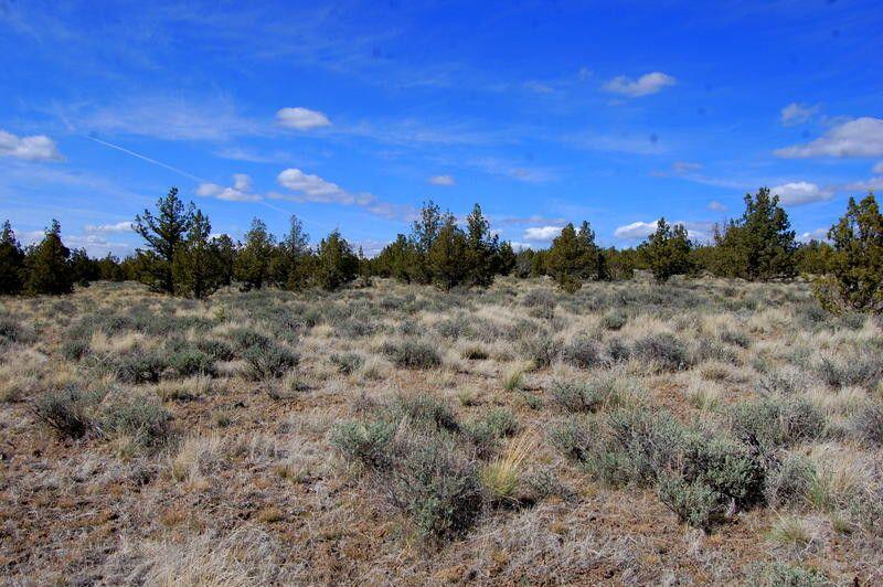 Ochoco Land + Livest - Land