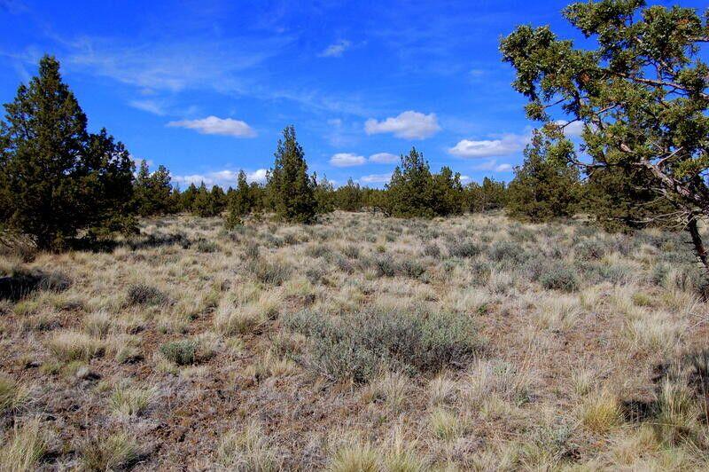 Ochoco Land + Livest - Land