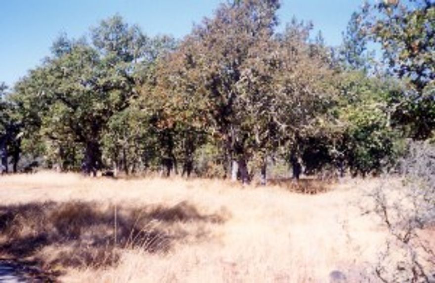 Very private 40 acre parcel. Homesite is approved. Just minutes from Jacksonville. Easy owner terms. Road will be expensive to rock and power will be expensive. Super location, privacy & well. Priced for Jacksonville. Owner terms. Purchaser to obtain septic approval at this price.