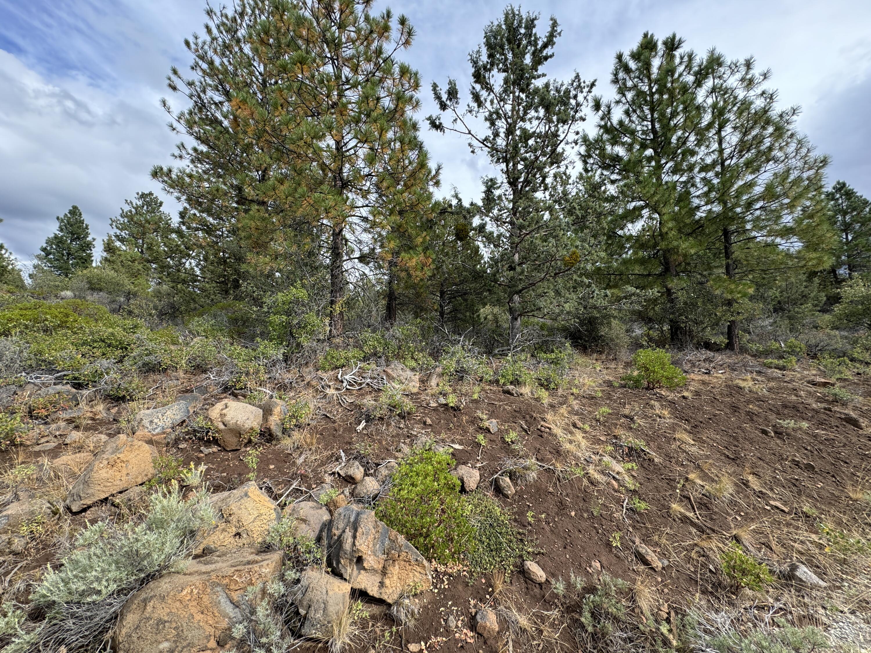 Klamath Falls Forest Estates -Hwy 66 Unit -Plat No. 1 - Land
