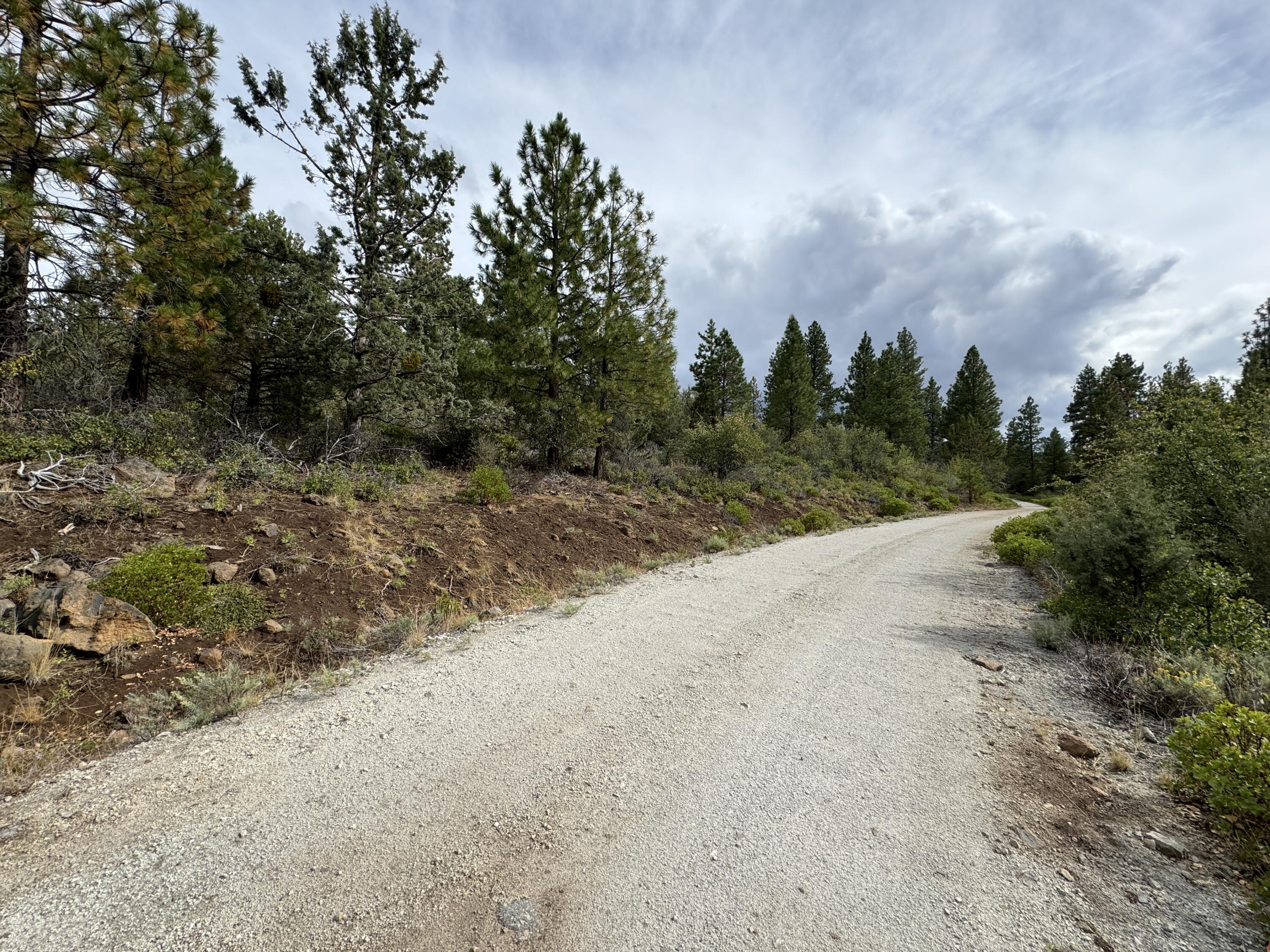 Klamath Falls Forest Estates -Hwy 66 Unit -Plat No. 1 - Land