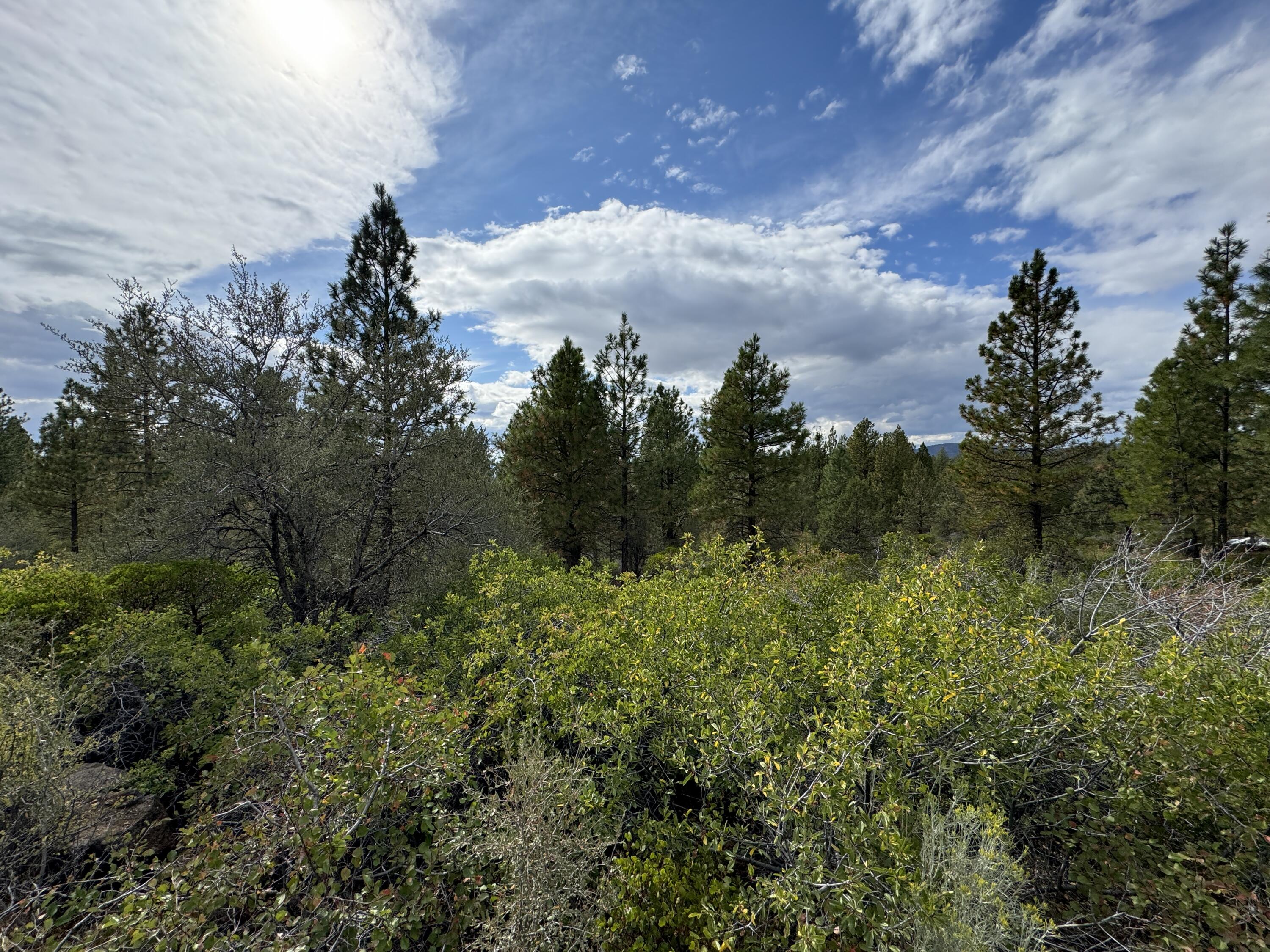 Klamath Falls Forest Estates -Hwy 66 Unit -Plat No. 1 - Land