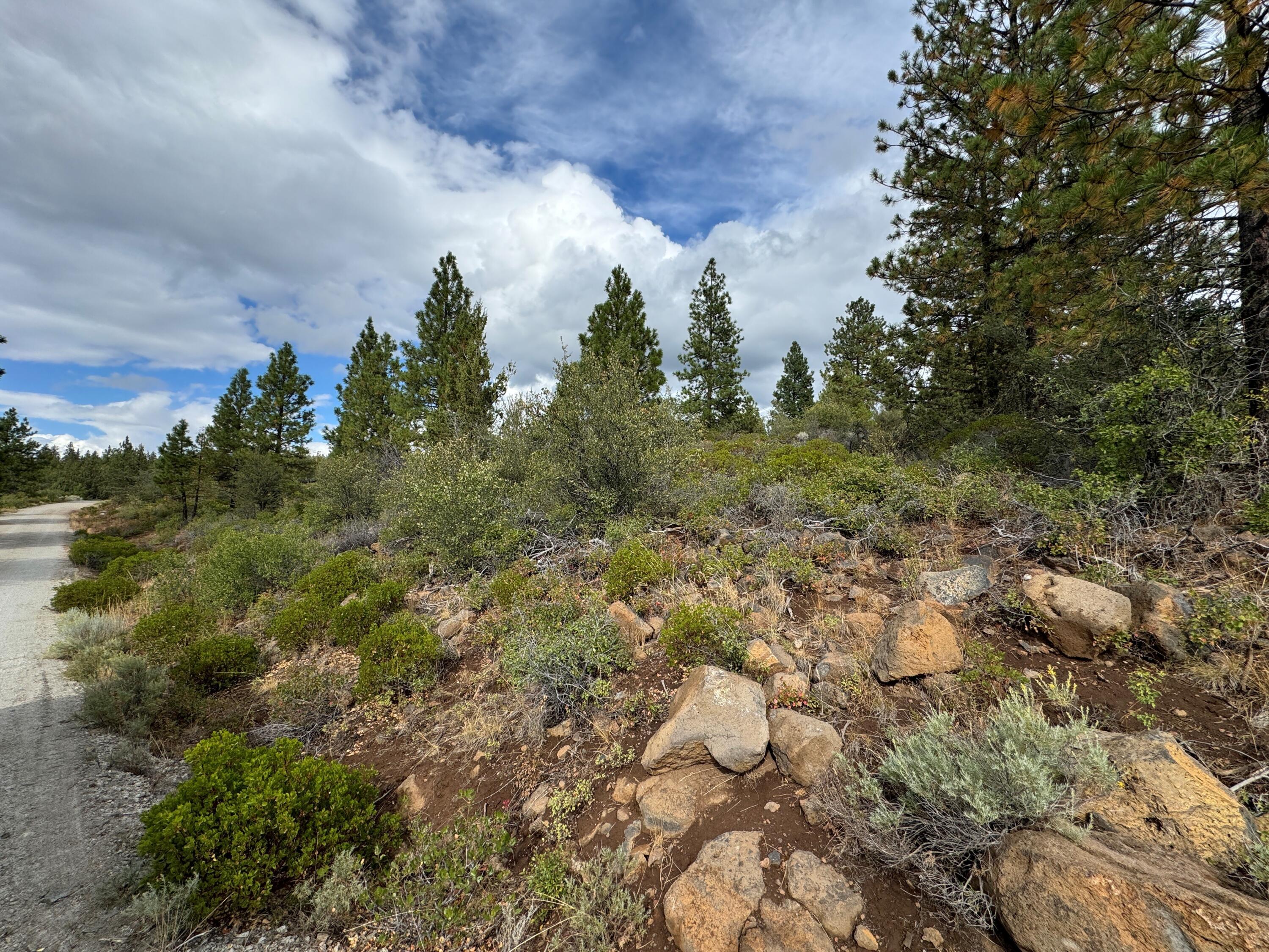 Klamath Falls Forest Estates -Hwy 66 Unit -Plat No. 1 - Land