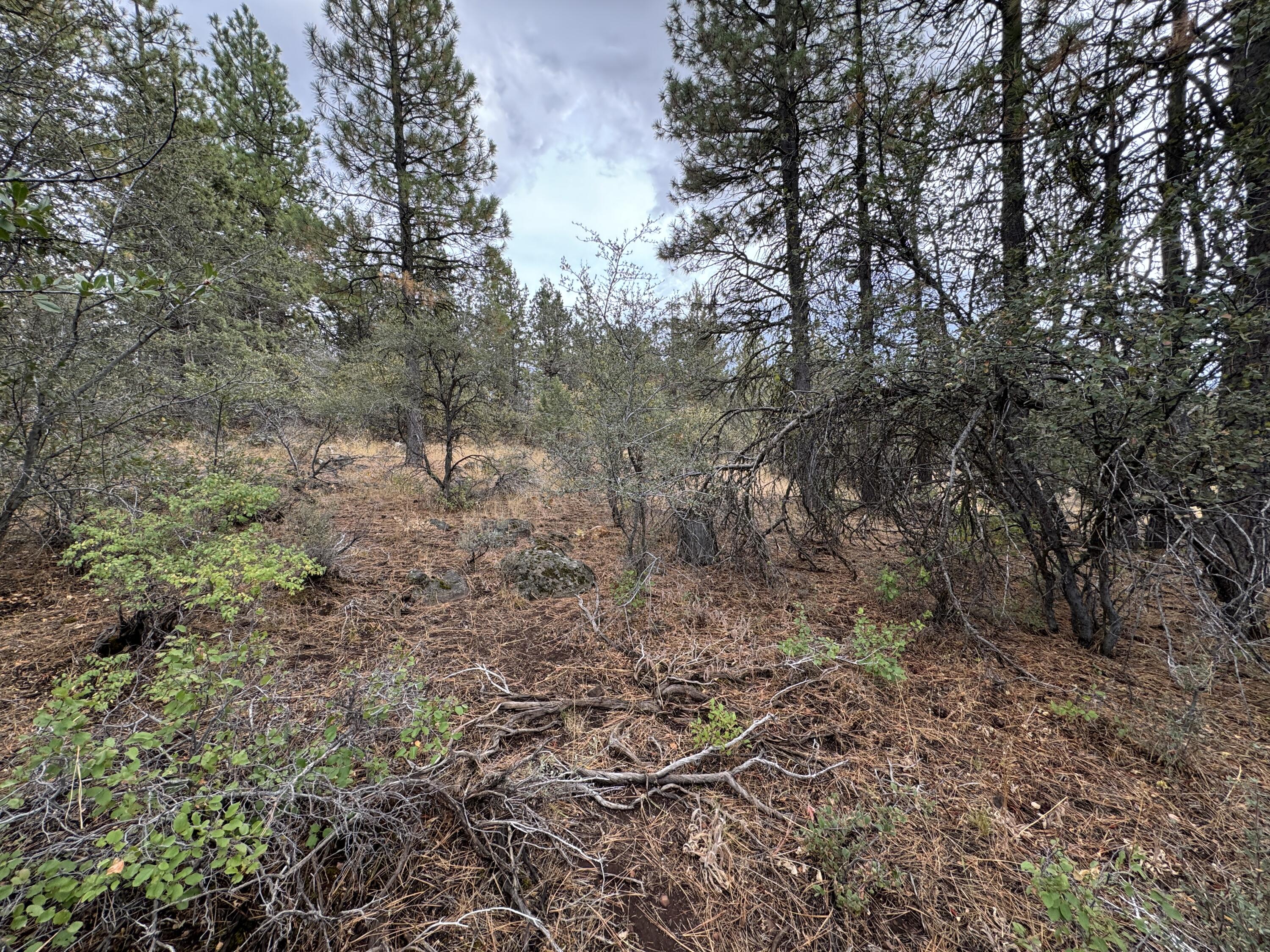 Klamath Falls Forest Estates -Hwy 66 Unit -Plat No. 1 - Land