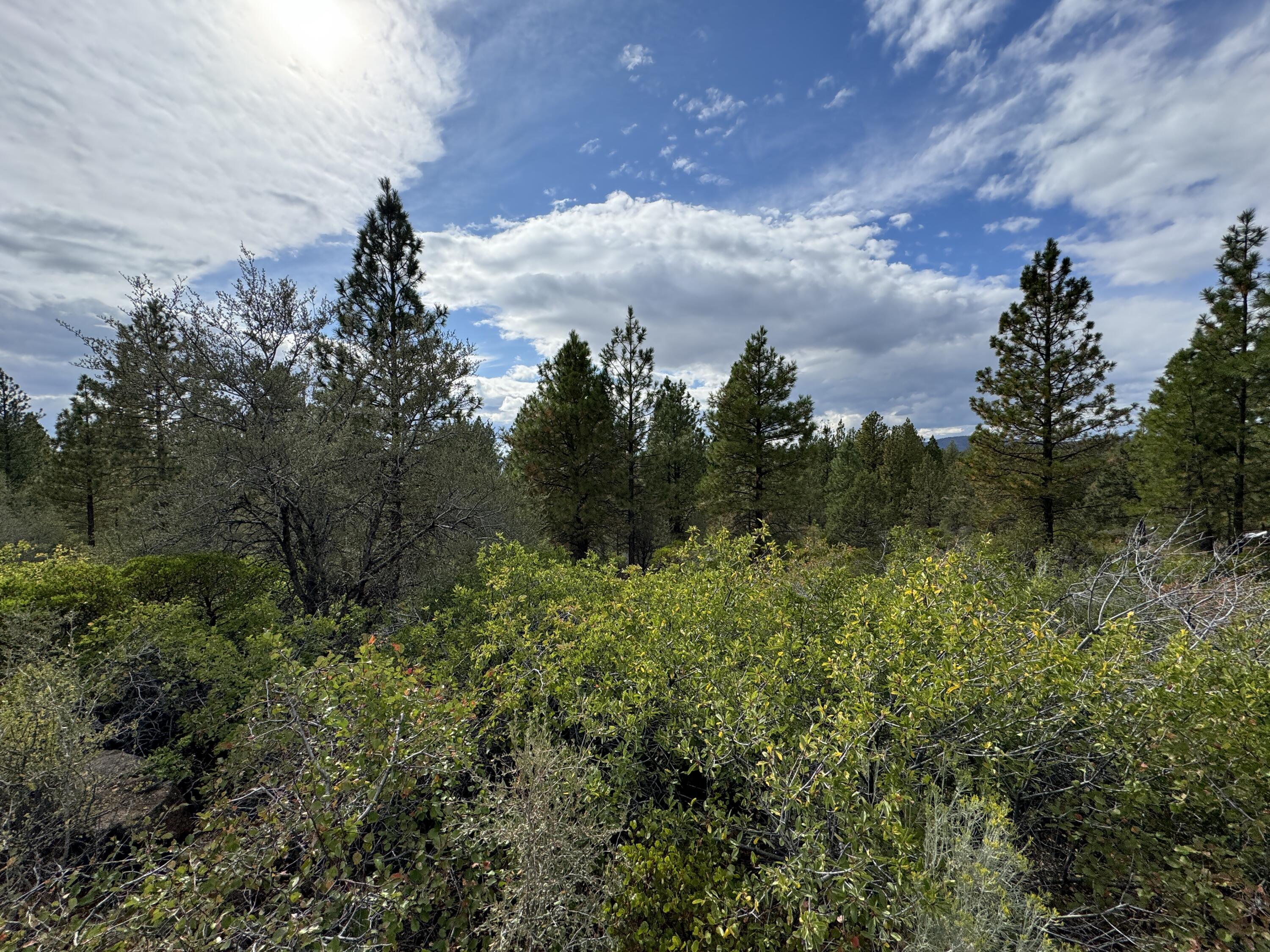 Klamath Falls Forest Estates -Hwy 66 Unit -Plat No. 1 - Land