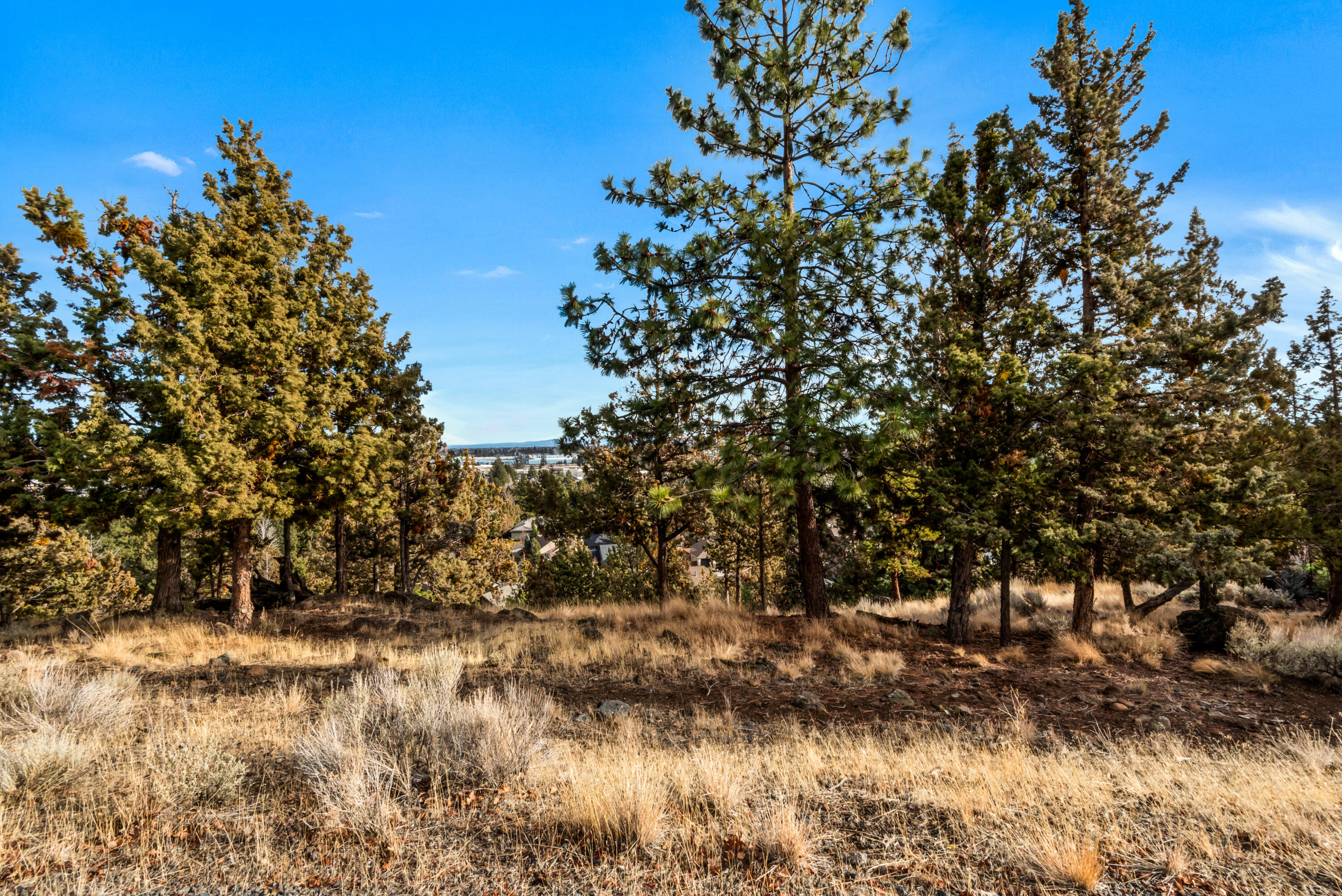3335 NW Fairway Heights Drive