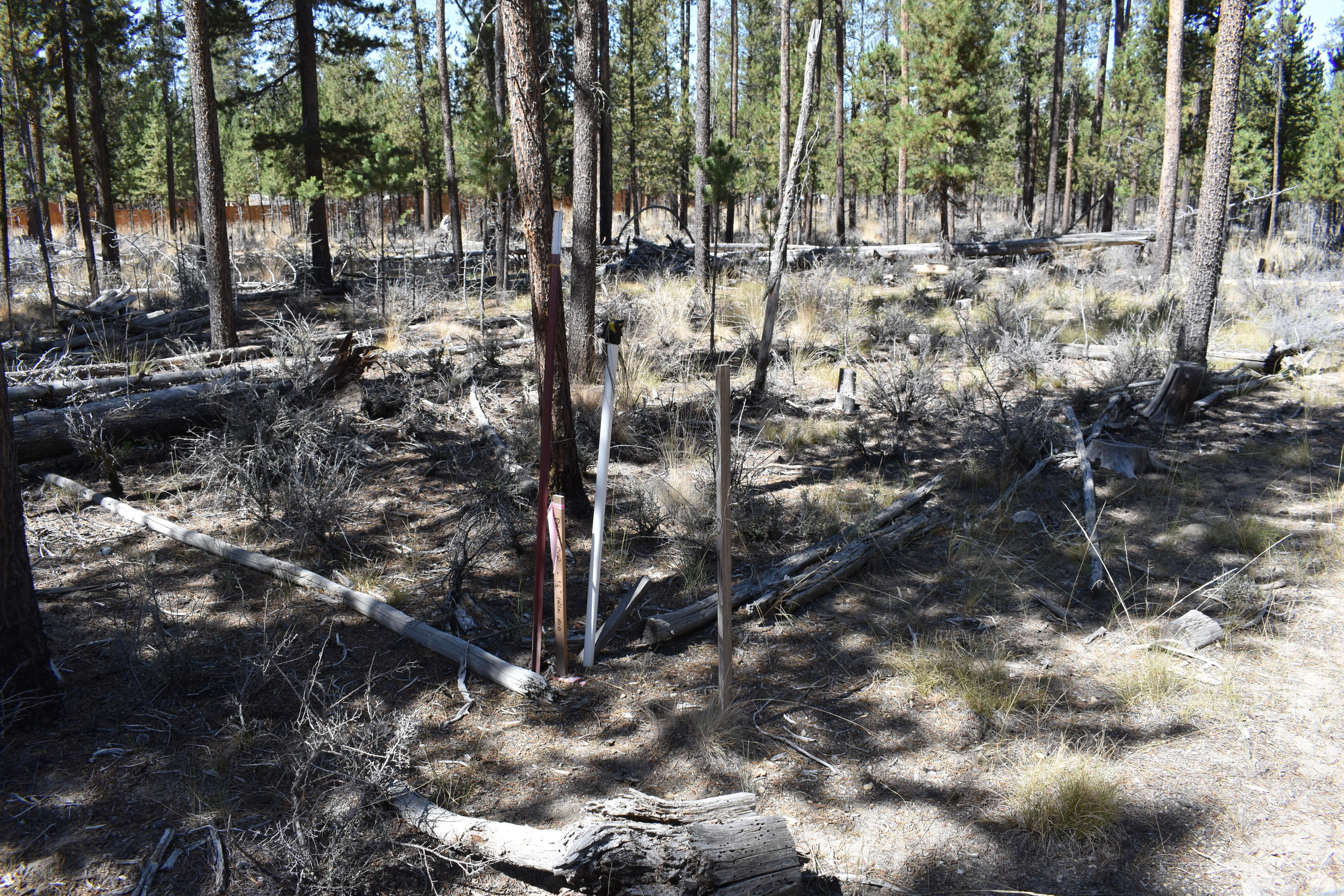 Sun Forest Estates - Land