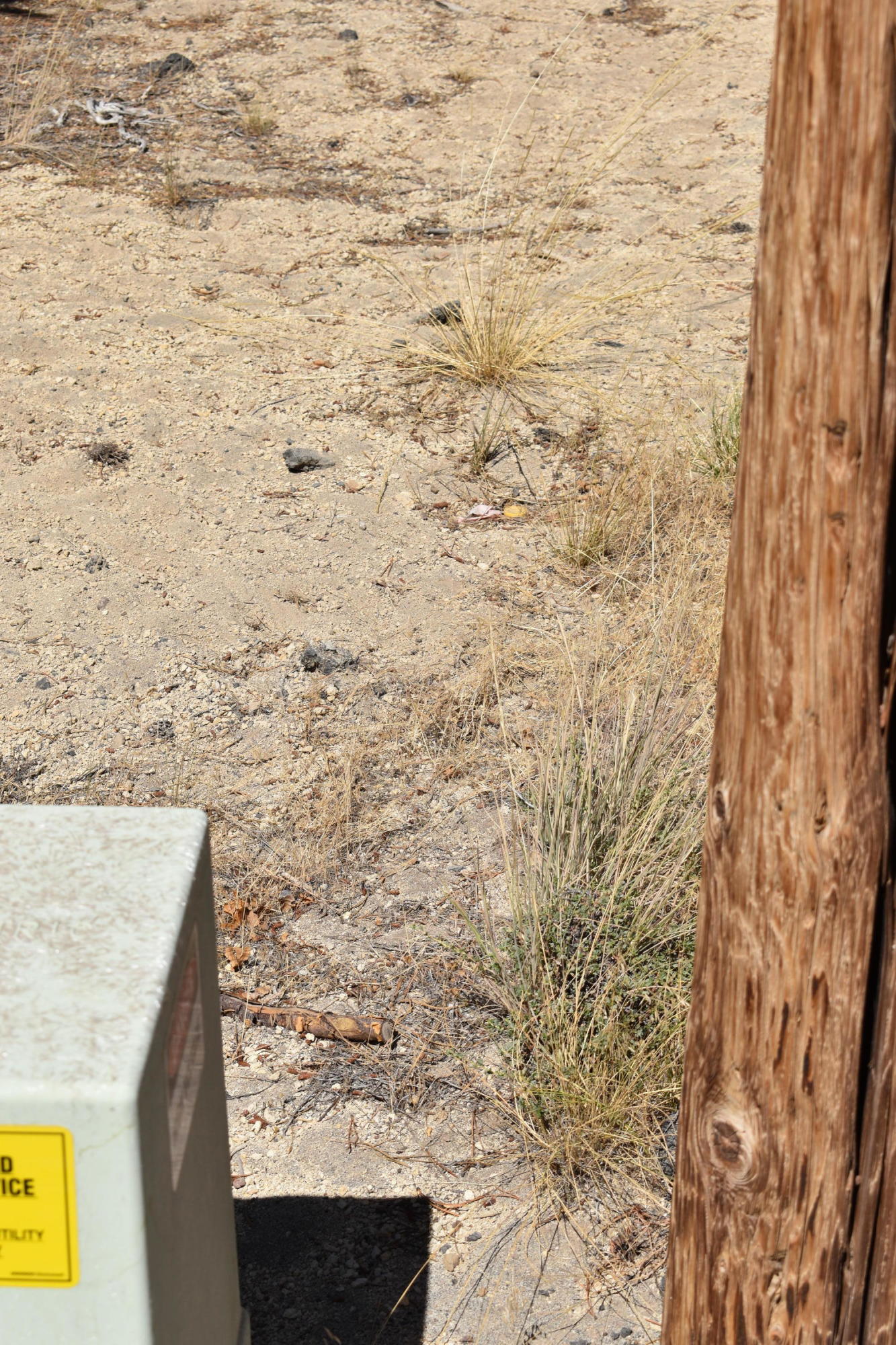 Sun Forest Estates - Land