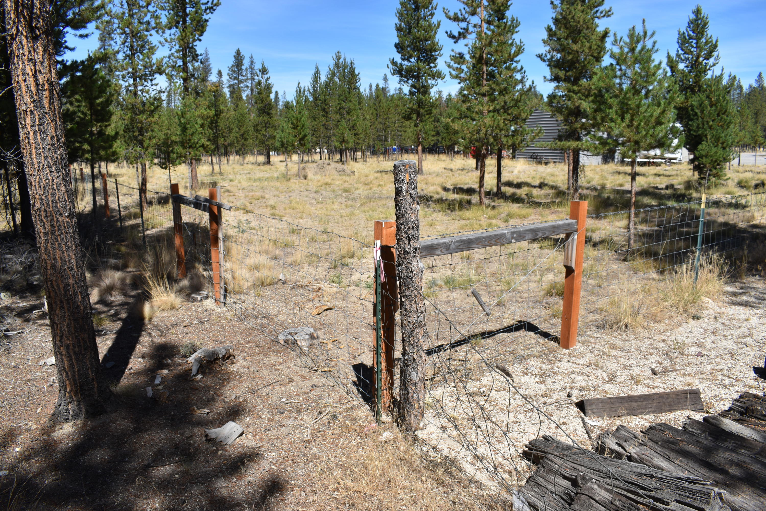 Sun Forest Estates - Land