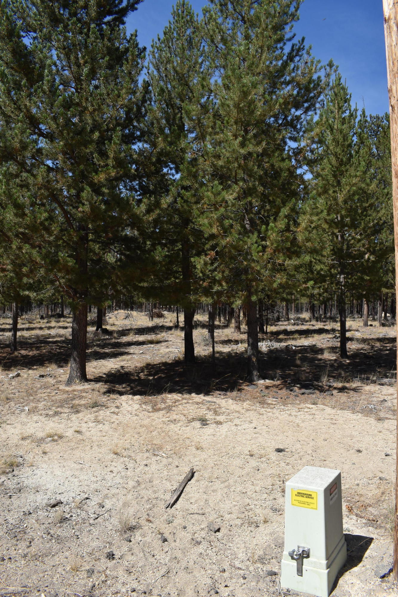 Sun Forest Estates - Land