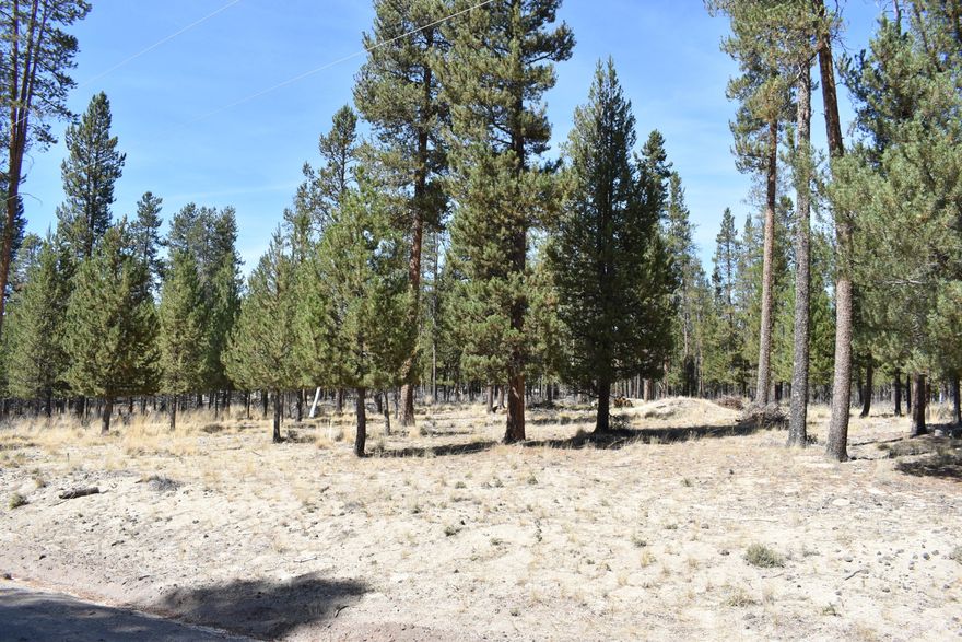 Nice Buildable 1.0 + Acre Lot in Sun Forest Estates has Standard Septic Feasibility 2019.  Come Build your New Home on this beautiful lot...!