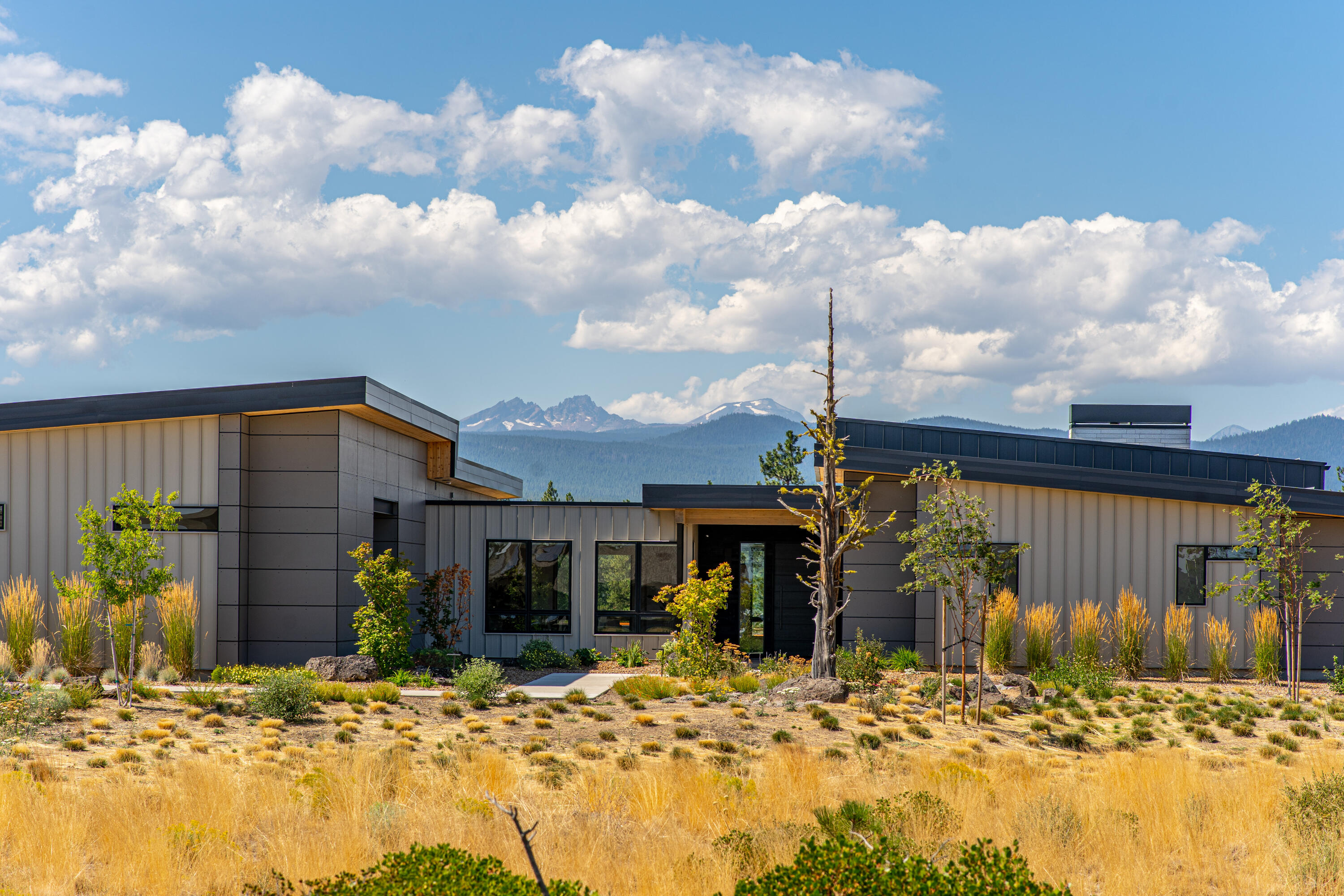 Tree Farm - Residential