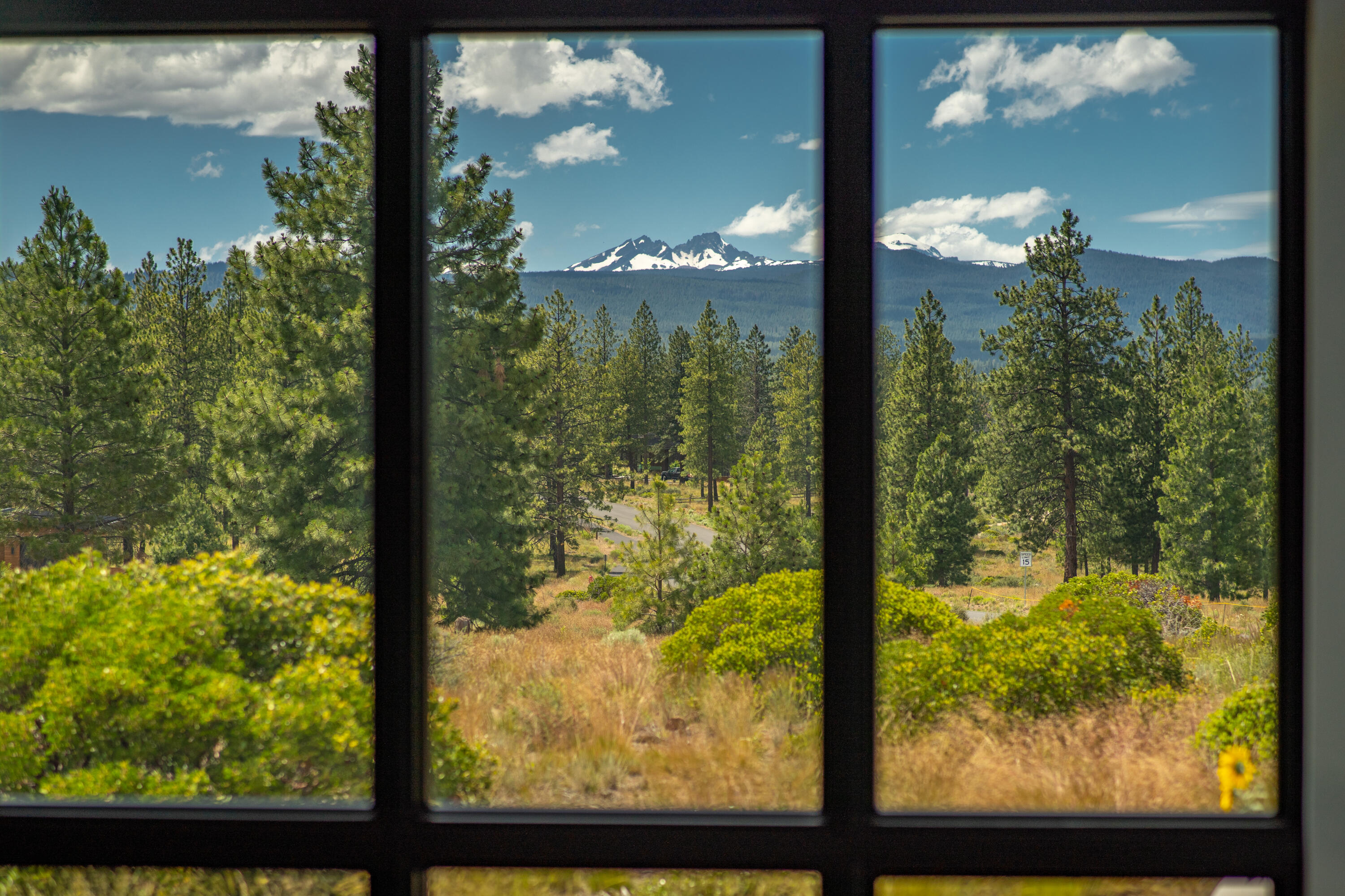 Tree Farm - Residential