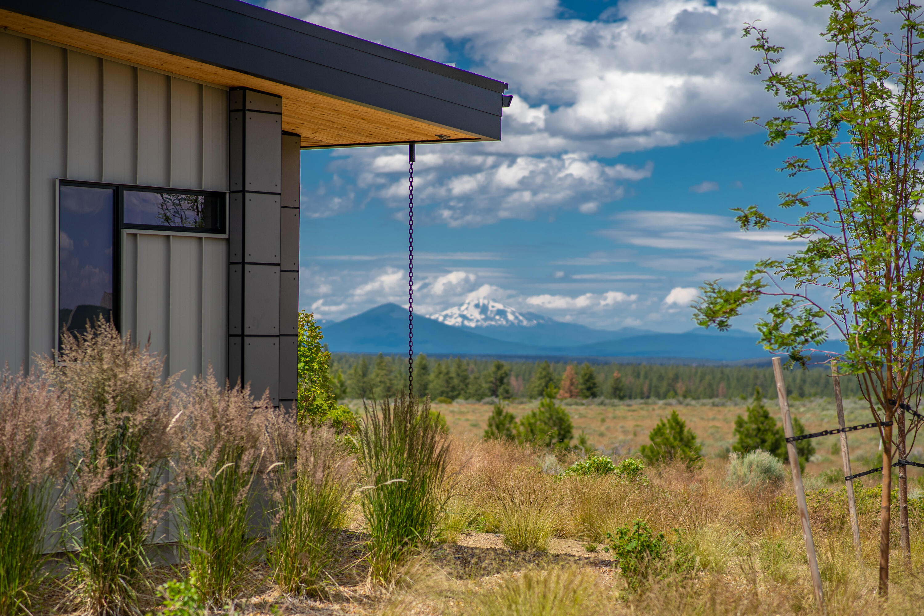 Tree Farm - Residential