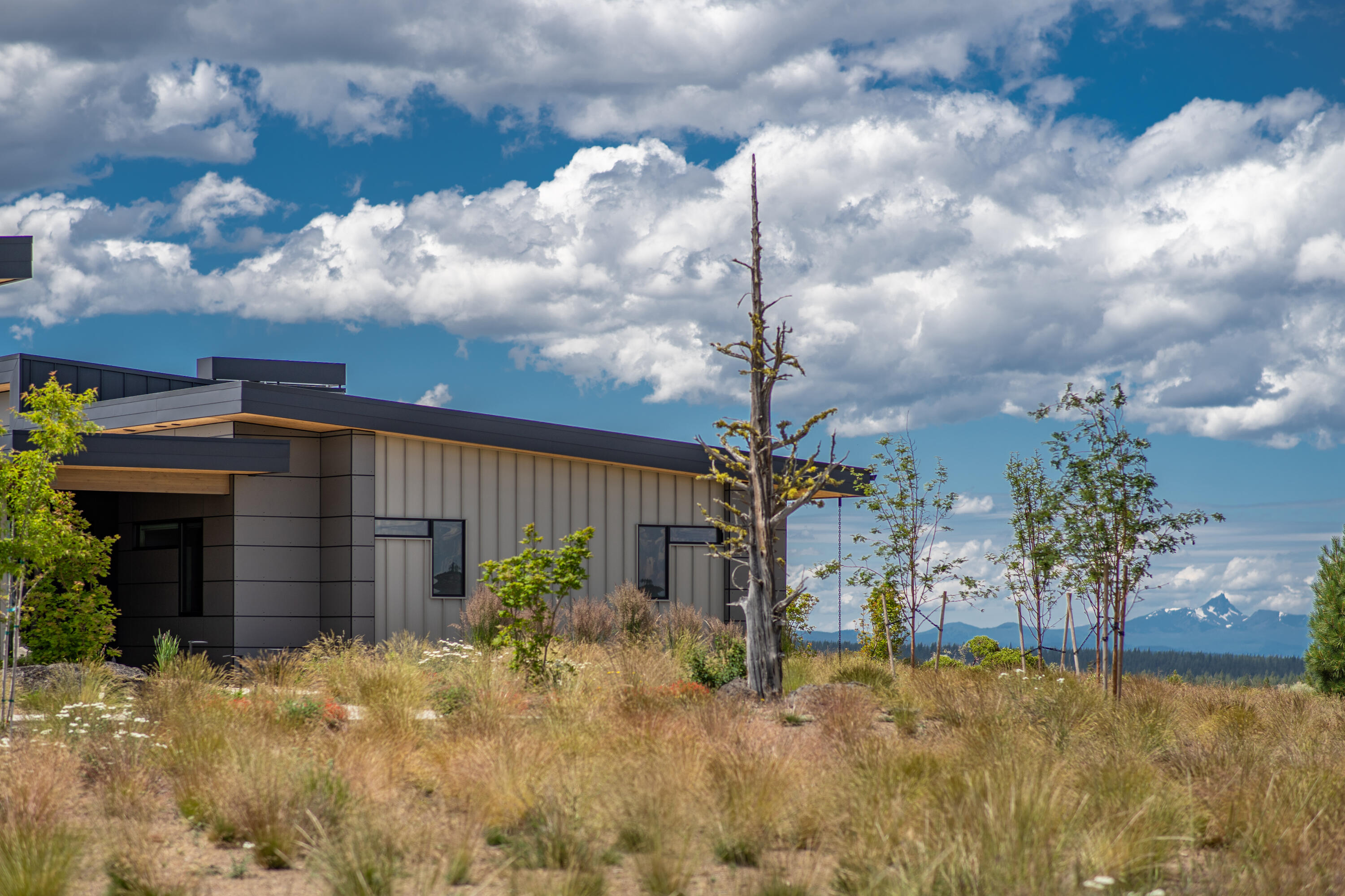 Tree Farm - Residential