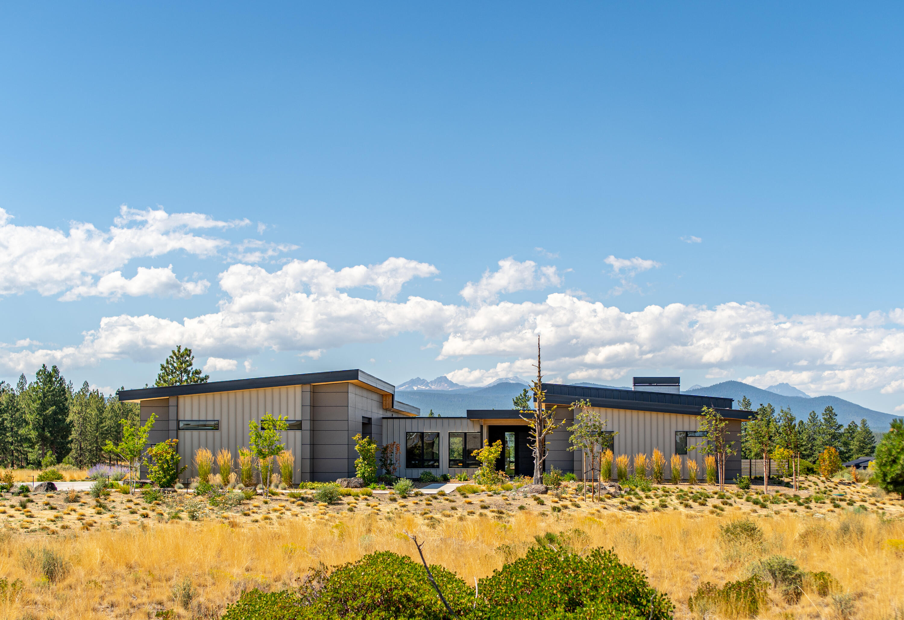 Tree Farm - Residential