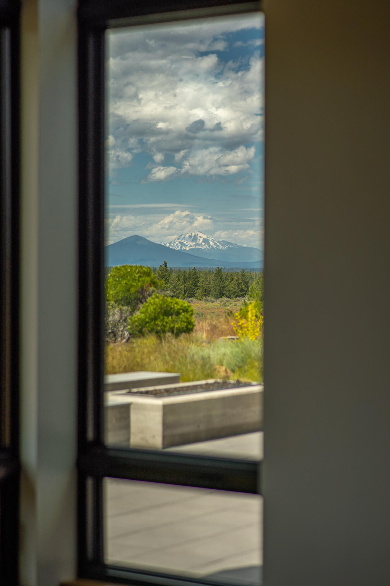 Tree Farm - Residential